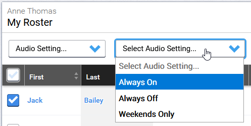 selecting an audio setting