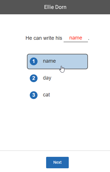 example of a practice question