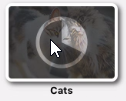an example of what the book icon will look like while the book is downloading