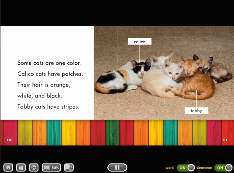 example of an open myON book