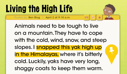 example of highlighted text