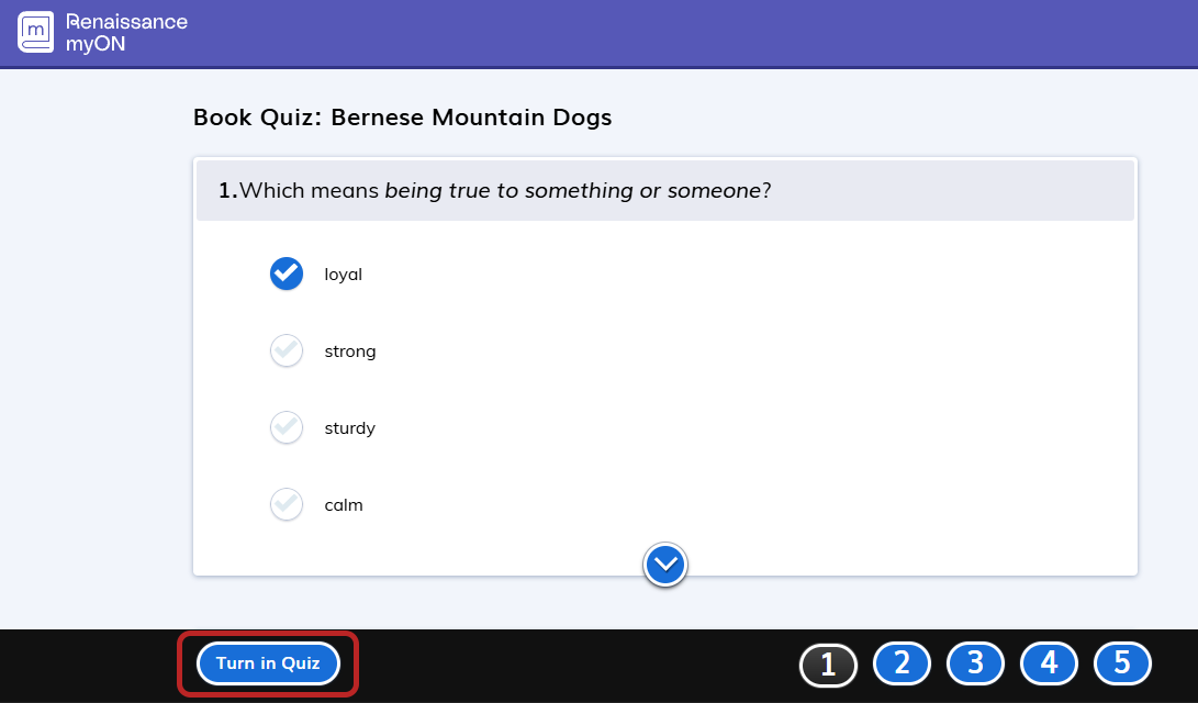 the Turn in Quiz button