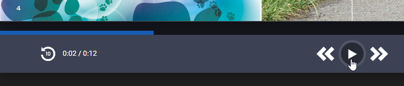 the play button and rewind option