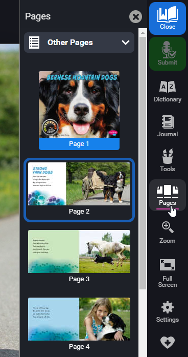 the pages option open