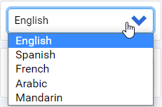 language options